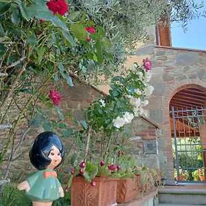Olivella Reggello
